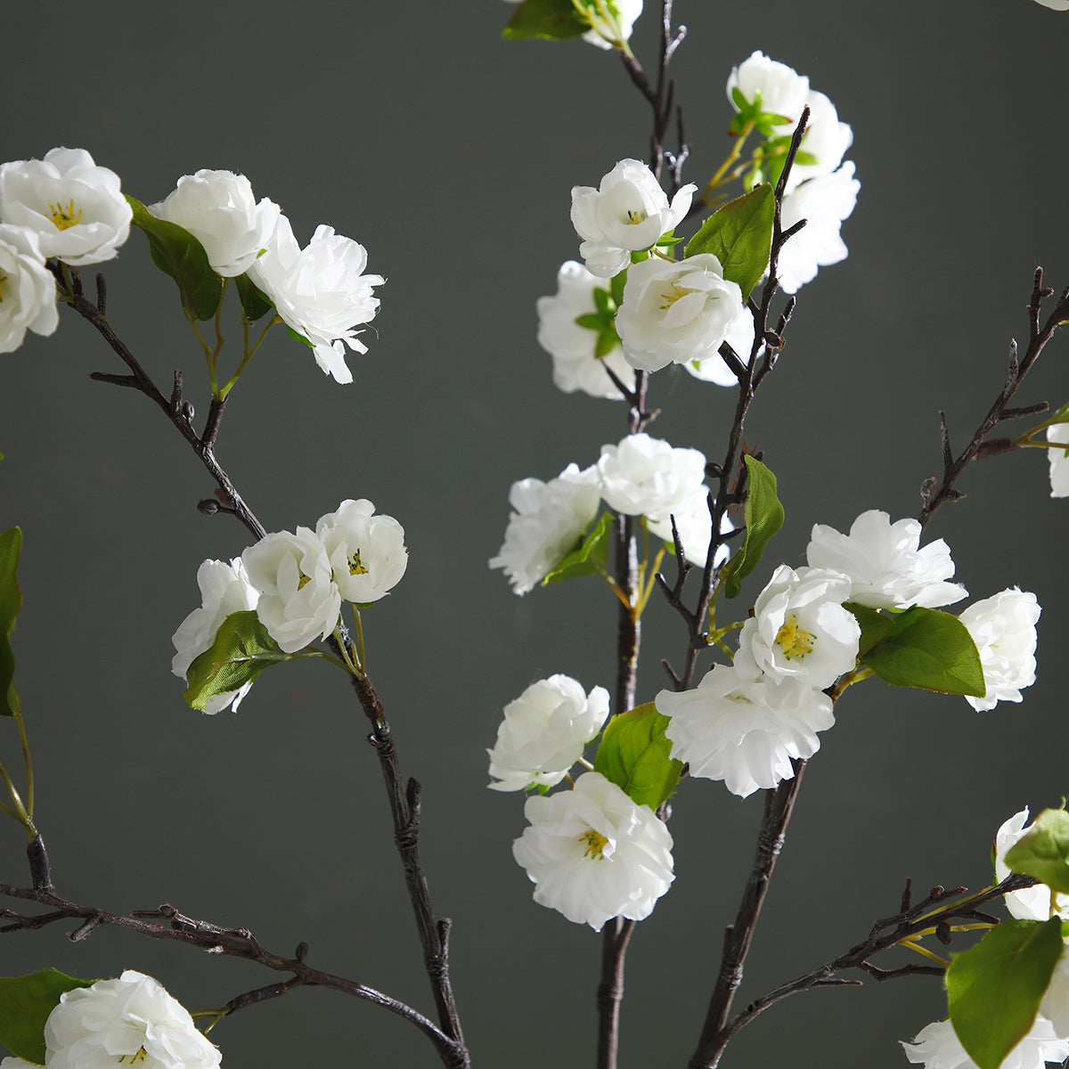 Tige de Fleurs de Cerisier