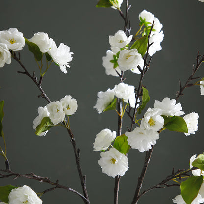 Tige de Fleurs de Cerisier