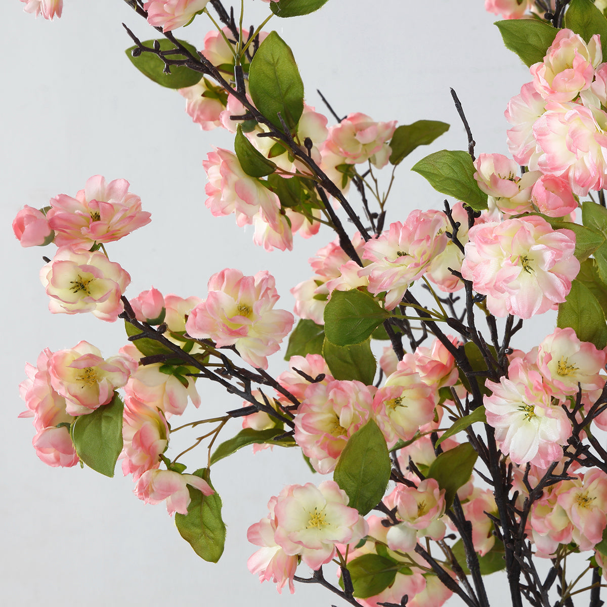 Tige de Fleurs de Cerisier