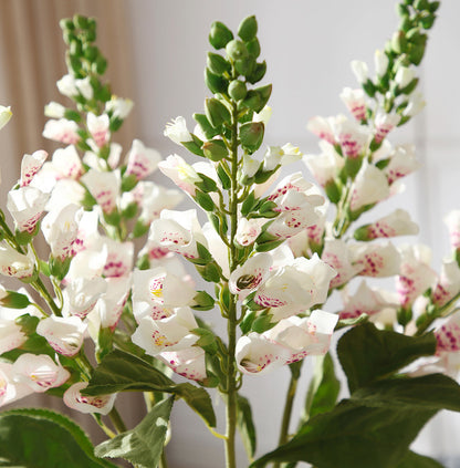 Tige de Digitale Pourprée