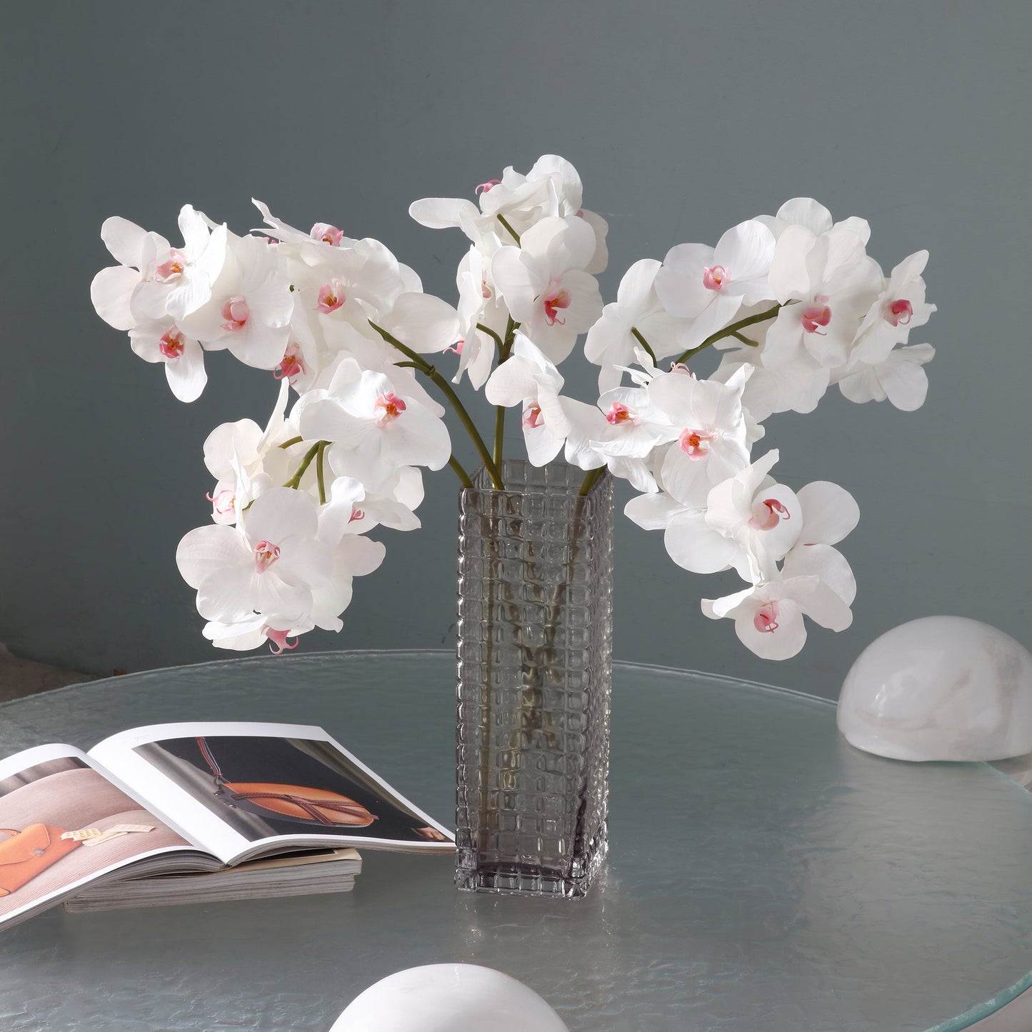 Tige d'Orchidée Bandailan