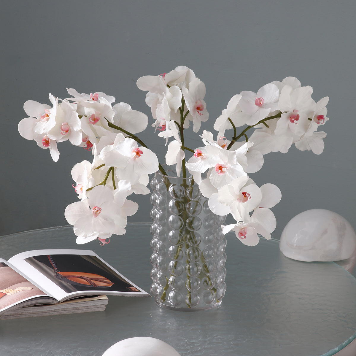 Tige d'Orchidée Bandailan