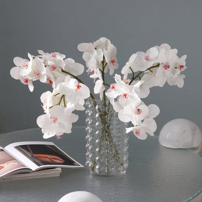 Tige d'Orchidée Bandailan