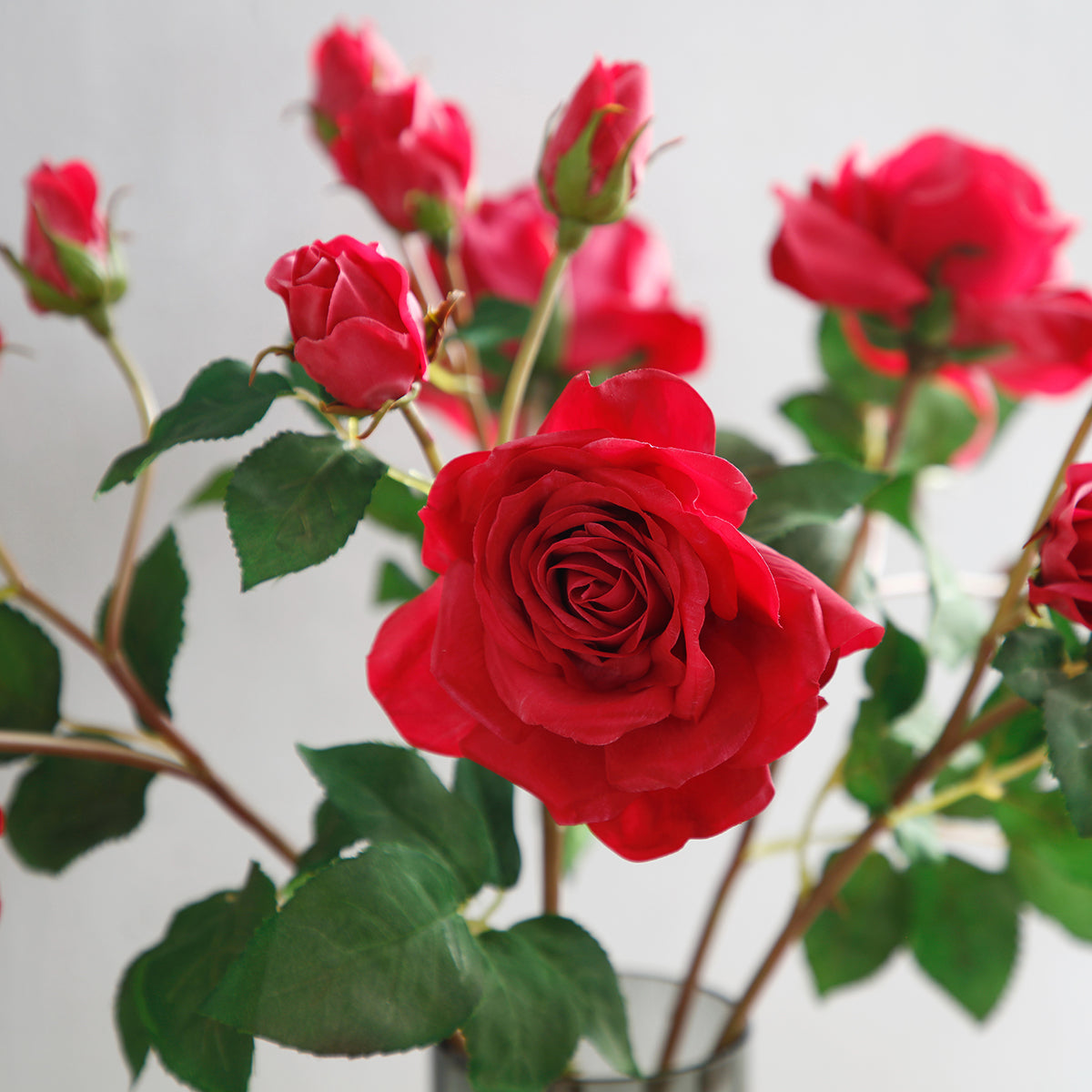 Tige de rose avec bourgeon