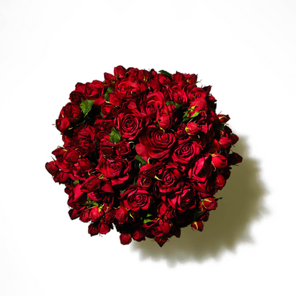 Tige de rose avec bourgeon