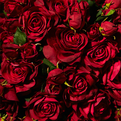 Tige de rose avec bourgeon