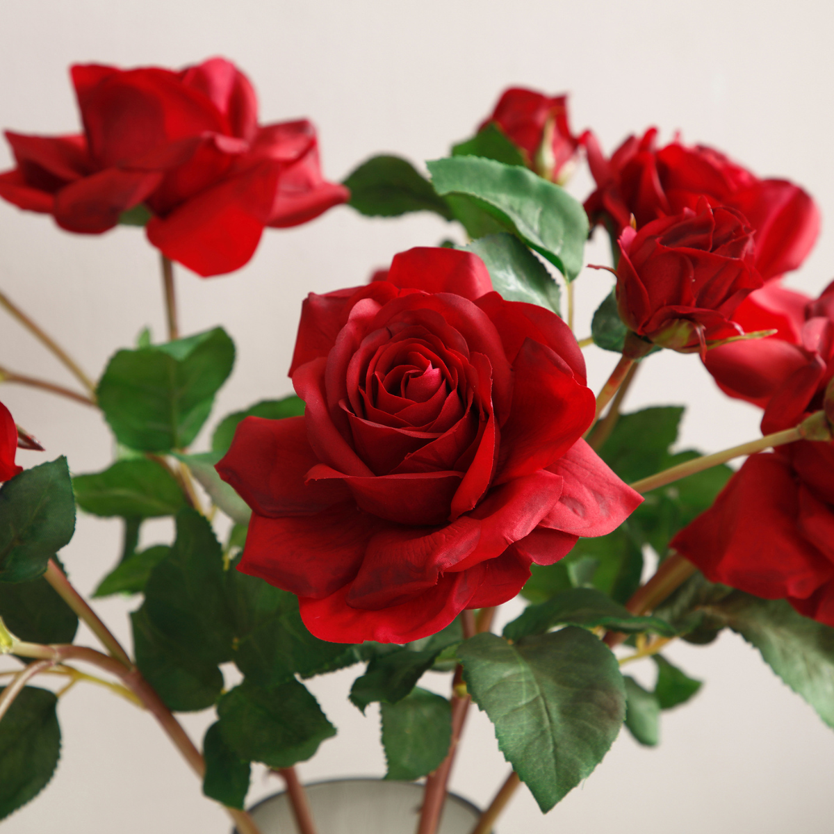 Tige de rose avec bourgeon