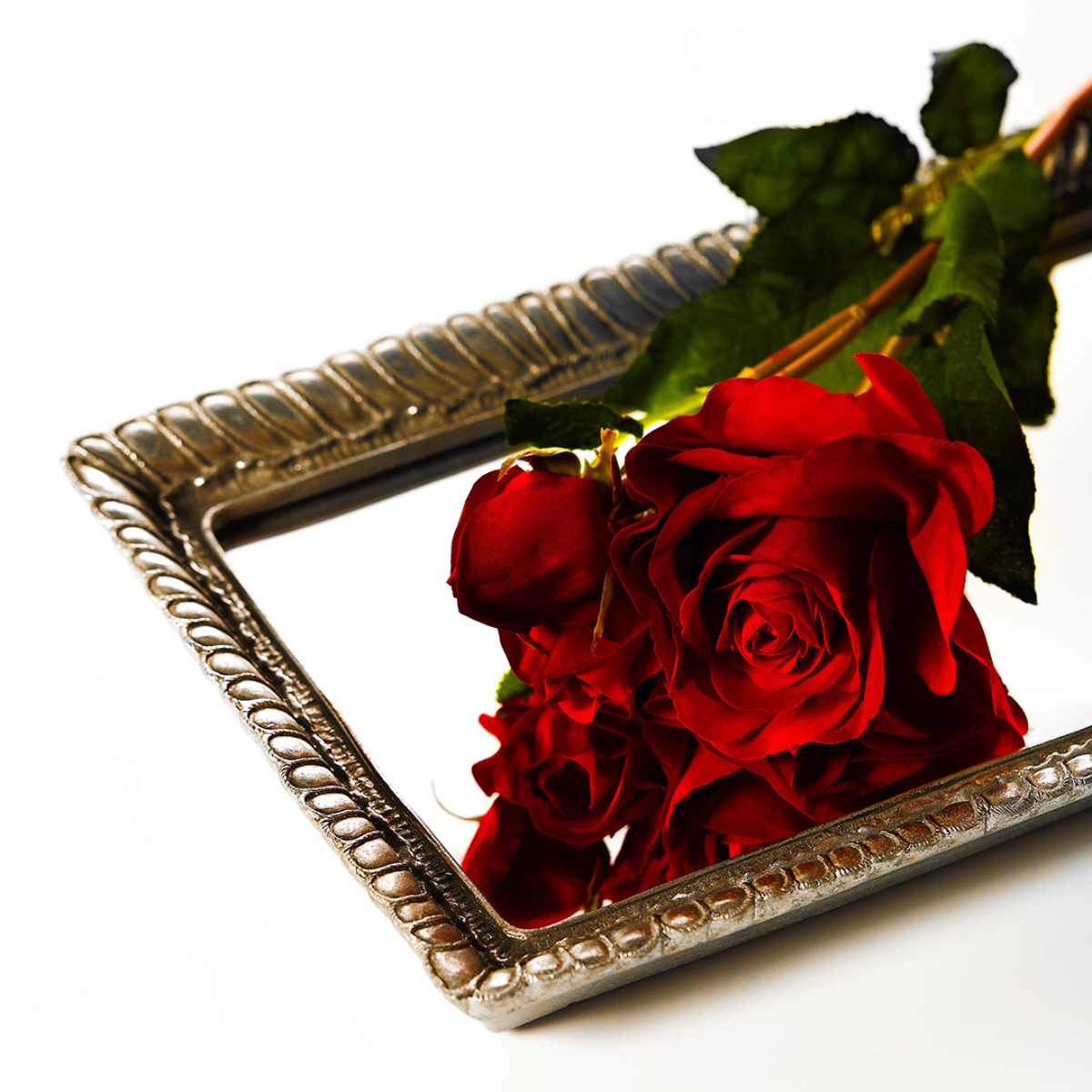 Tige de rose avec bourgeon