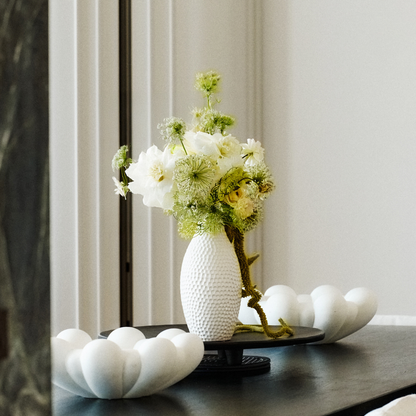 Feuillage tombant de Setaria