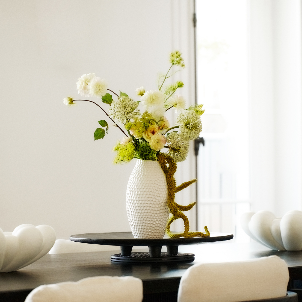 Feuillage tombant de Setaria