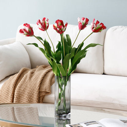 Tige de Tulipe Perroquet