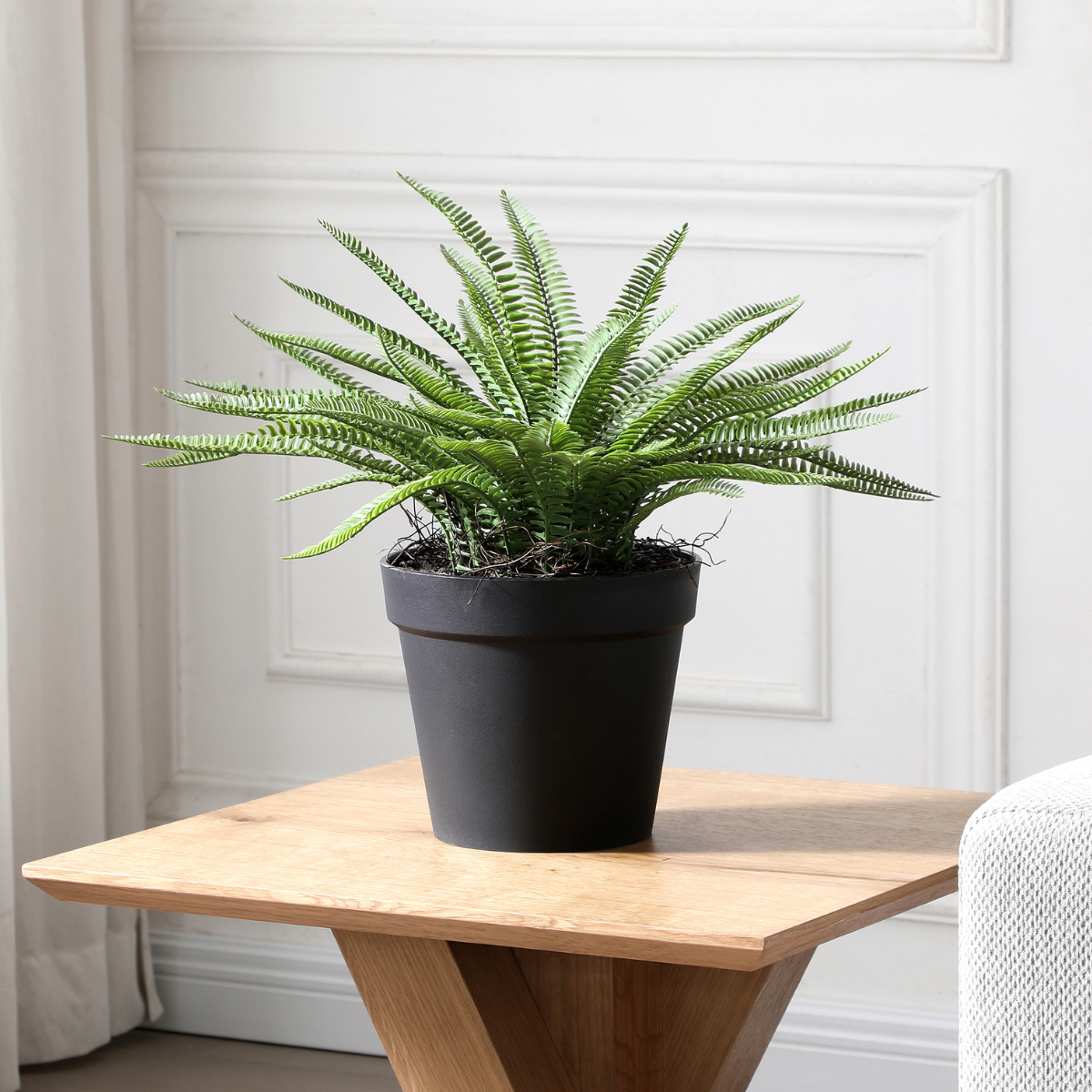 Arbuste Fleur en Pot