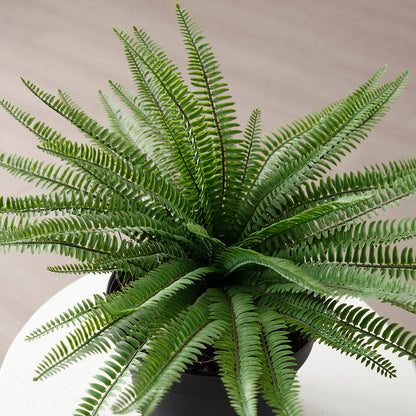 Arbuste Fleur en Pot