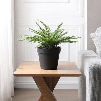 Arbuste Fleur en Pot