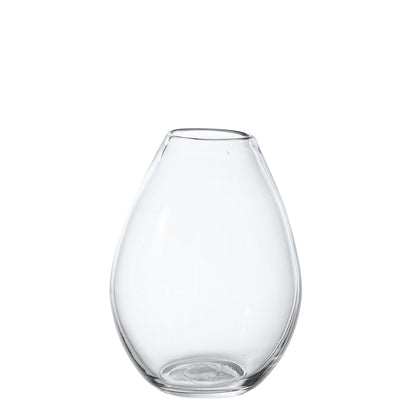 Vase Transparent Format Moyen