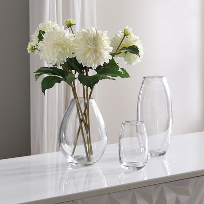 Vase Transparent Format Moyen
