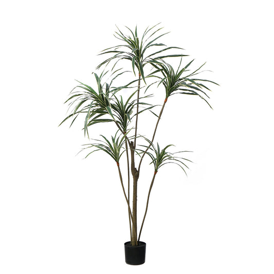 Arbre Yucca en Pot 190 cm