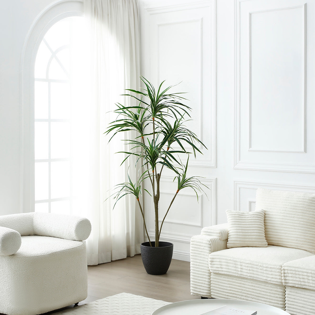 Arbre Yucca en Pot 190 cm