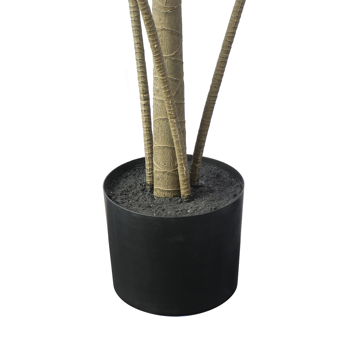 Arbre Yucca en Pot 190 cm