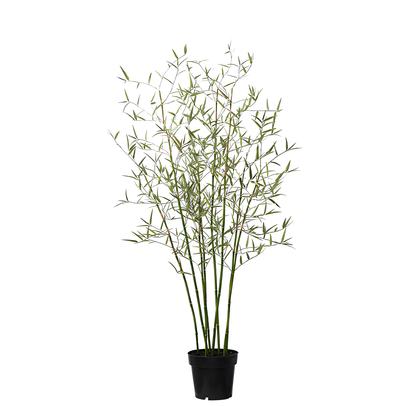 Arbre Bambou en Pot 125cm