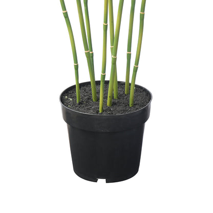 Arbre Bambou en Pot 125cm