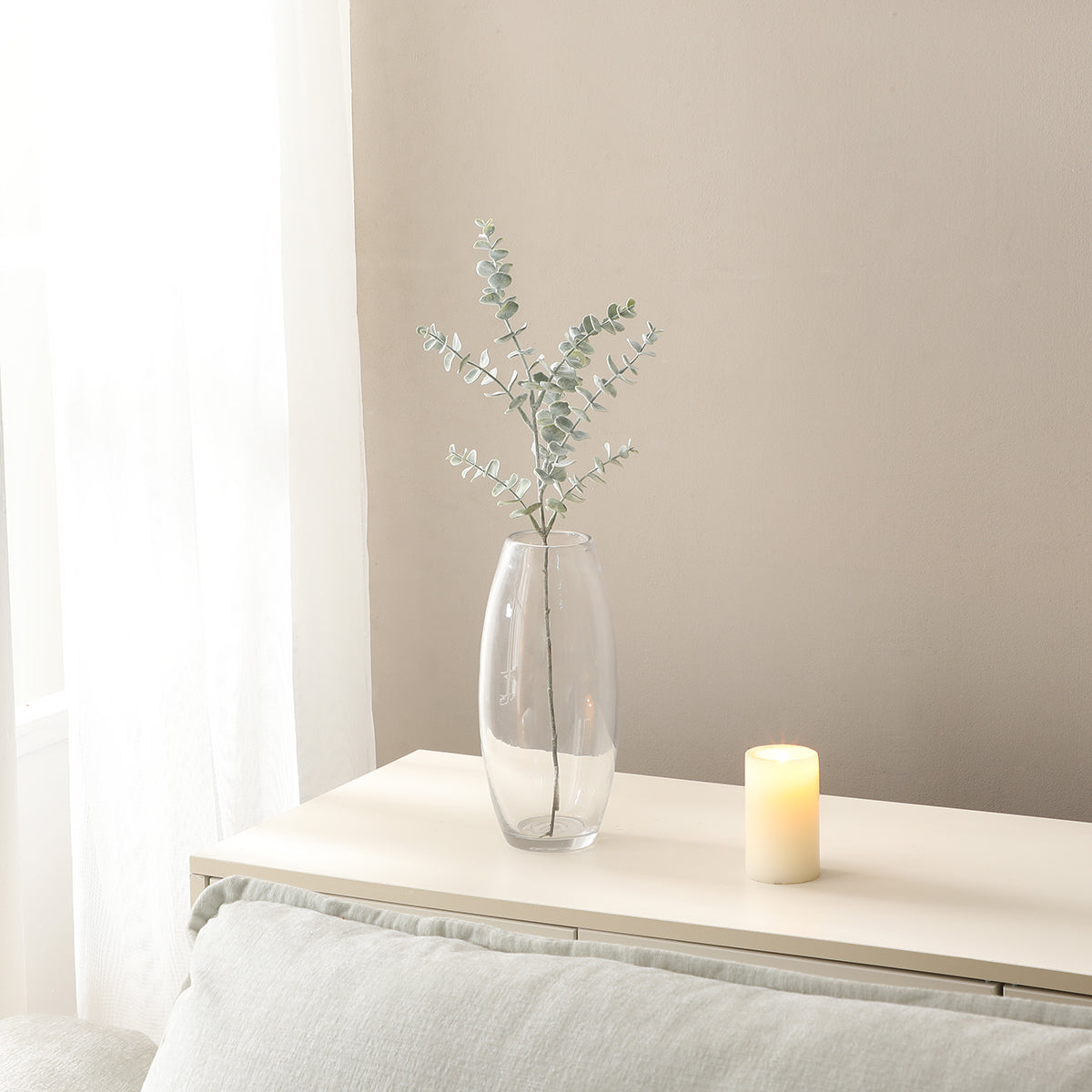 Feuillage d'eucalyptus