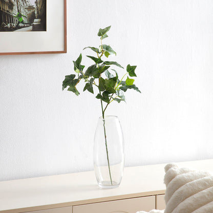 Feuillage de lierre anglais