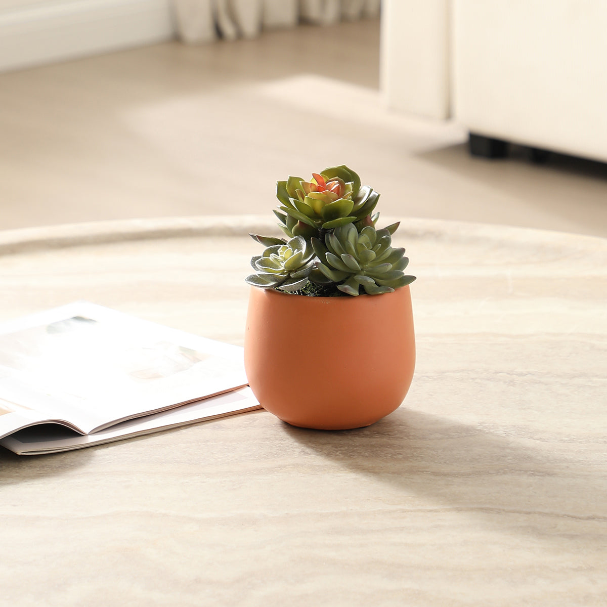 Suculente artificielle en pot