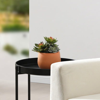 Suculente artificielle en pot