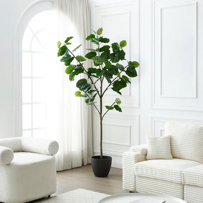 Arbre Ficus parapluie en pot 210cm