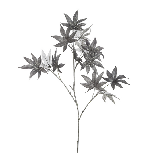 Feuillage d'érable avec paillettes