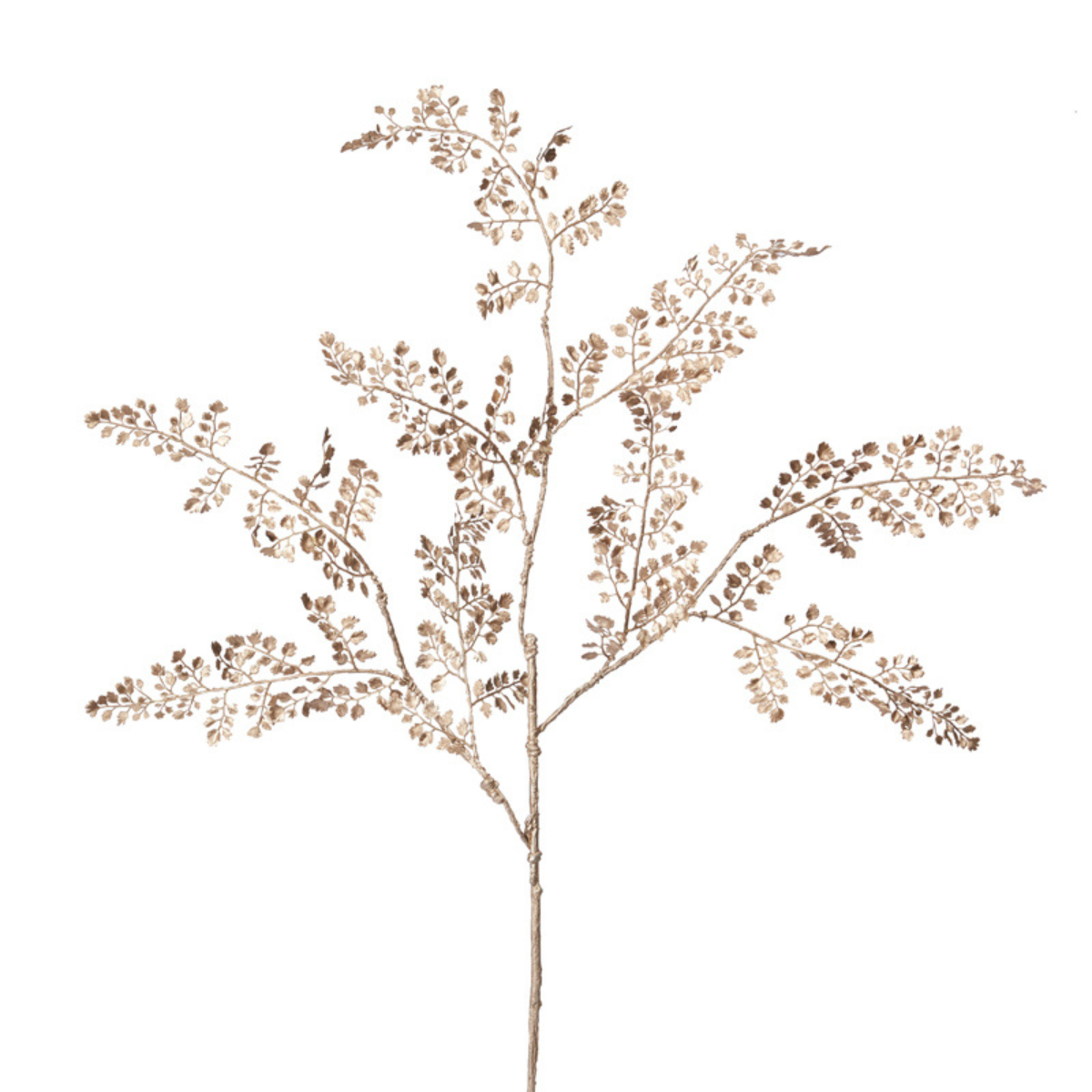 Feuillage de Fougère Effet Métallique