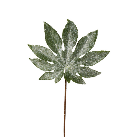 Feuille d'Aralia pailletée