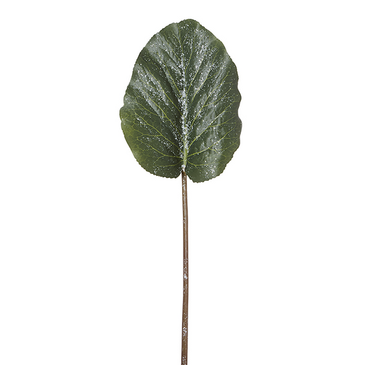 Feuille de Hosta pailletée