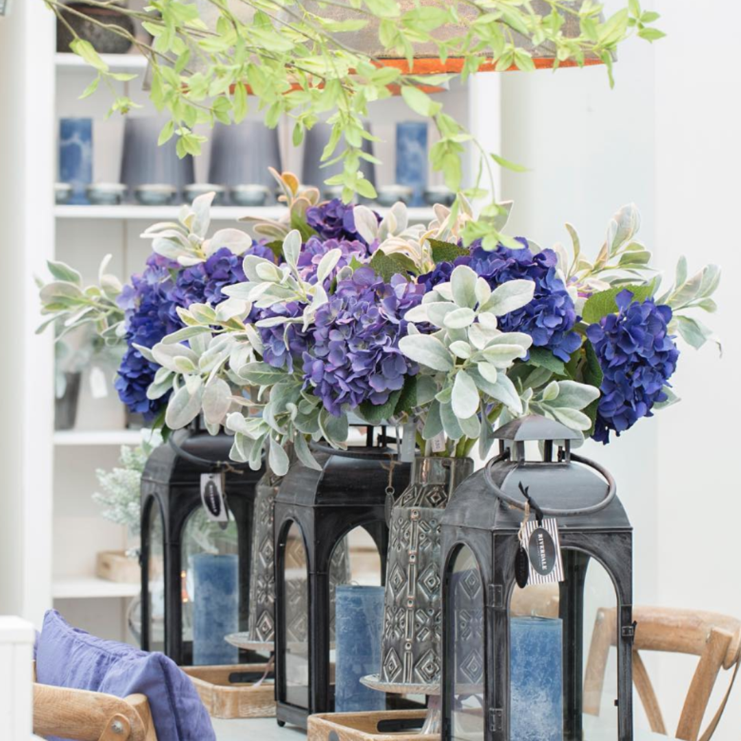 Feuillage d'Oreille d'Agneau