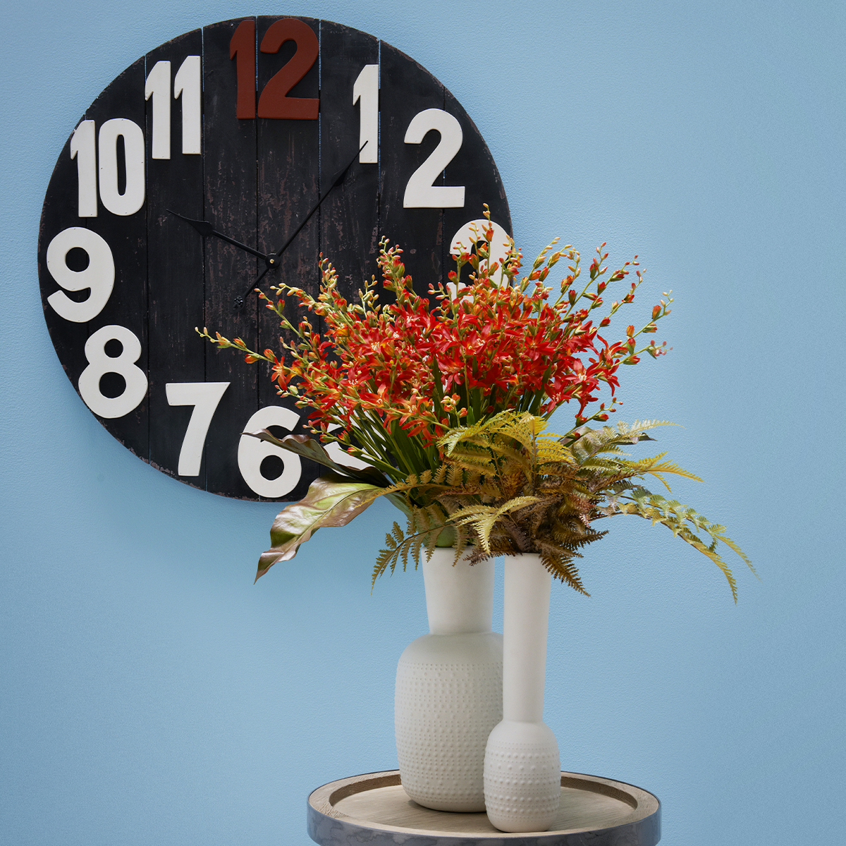 Feuillage de fougère