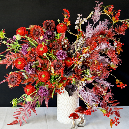 Feuillage de fougère