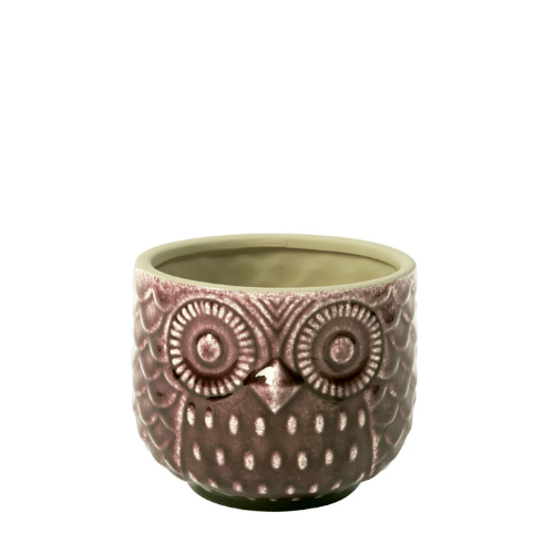 Cache-Pot Owly