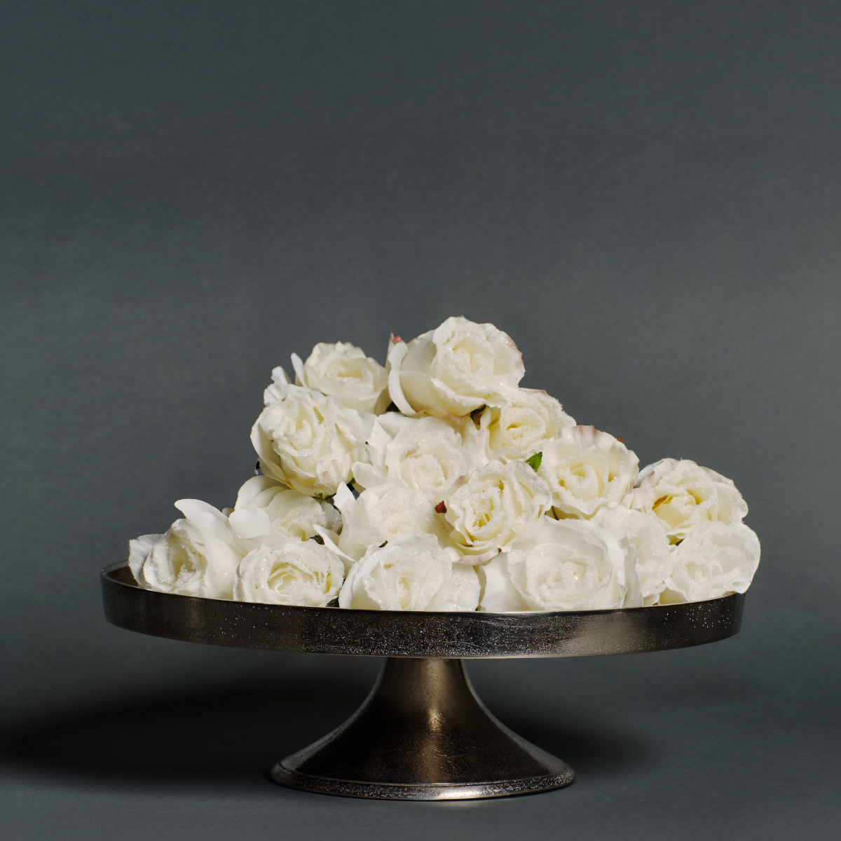 Plateau décoratif Wonder Grand Format