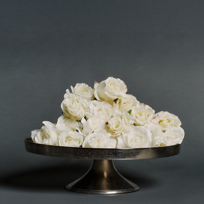 Plateau décoratif Wonder Grand Format