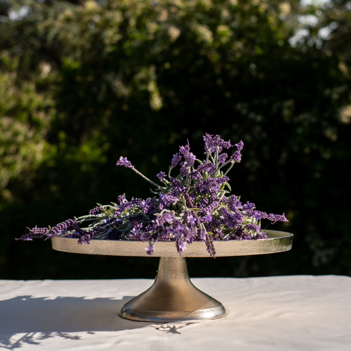 Plateau décoratif Wonder Grand Format