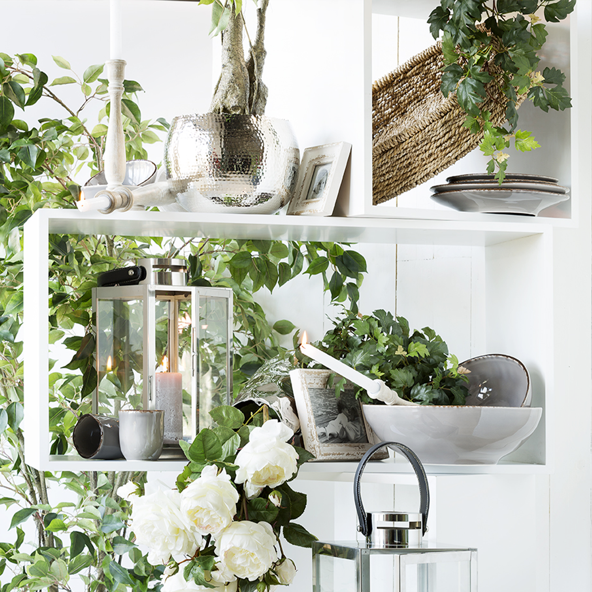 Assiette à dessert Praline