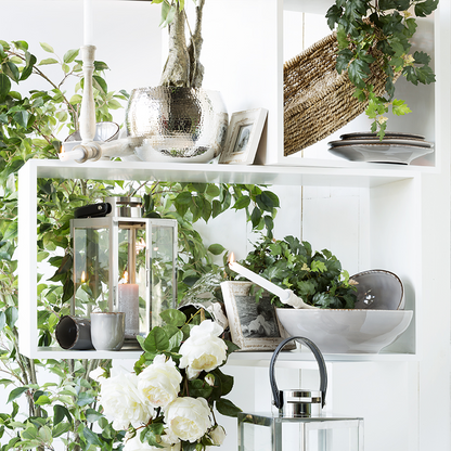 Assiette à dessert Praline