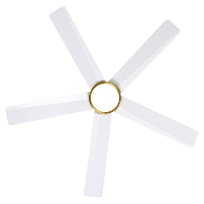 Breezary 65/52/42 5-Blade LED Ceiling Fan with Light Kit and Remote
