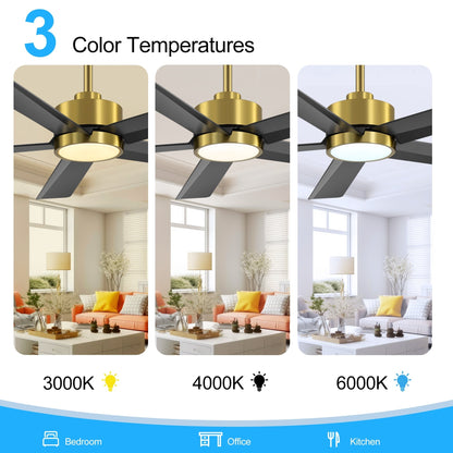 Breezary 65/52/42 5-Blade LED Ceiling Fan with Light Kit and Remote