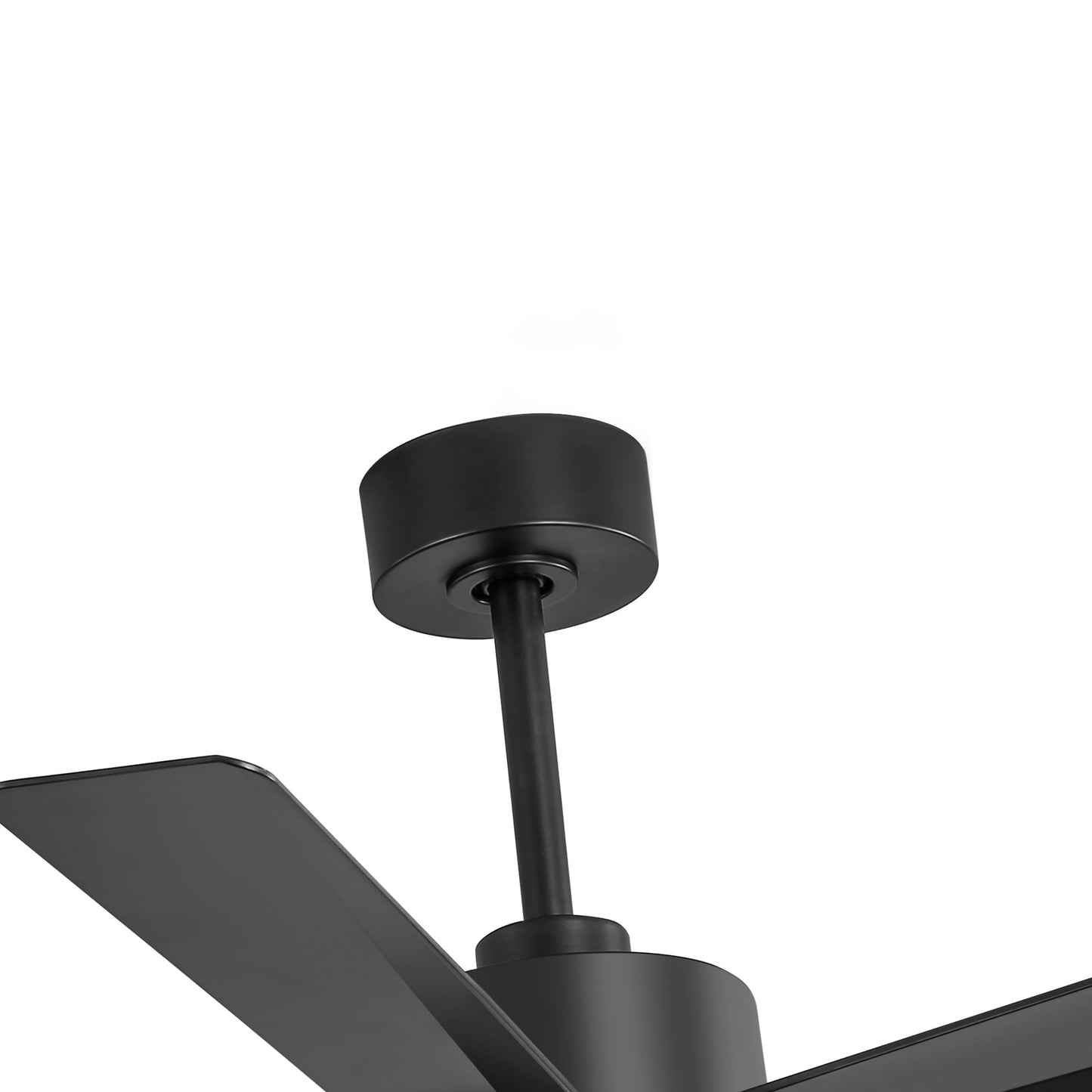Breezary 65/52/42 5-Blade LED Ceiling Fan with Light Kit and Remote