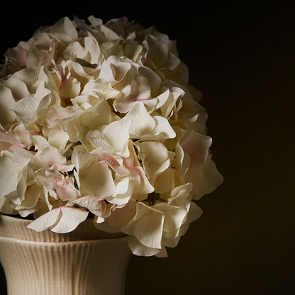 Vase Grow Petit Format