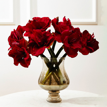 Photophore Tod Petit Format