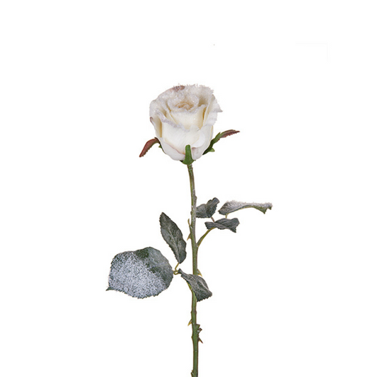 Tige de Rose Enneigée Noël