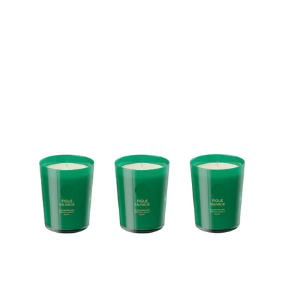 Bougies Parfumées Figue Sauvage